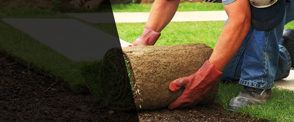 Kenilworth Landscapers